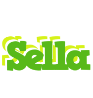 Sella picnic logo