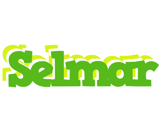 Selmar picnic logo