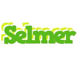 Selmer picnic logo