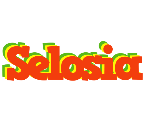 Selosia bbq logo