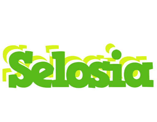 Selosia picnic logo
