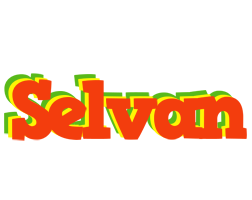 Selvan bbq logo