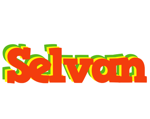 Selvan bbq logo
