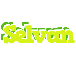 Selvan citrus logo