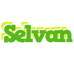 Selvan picnic logo