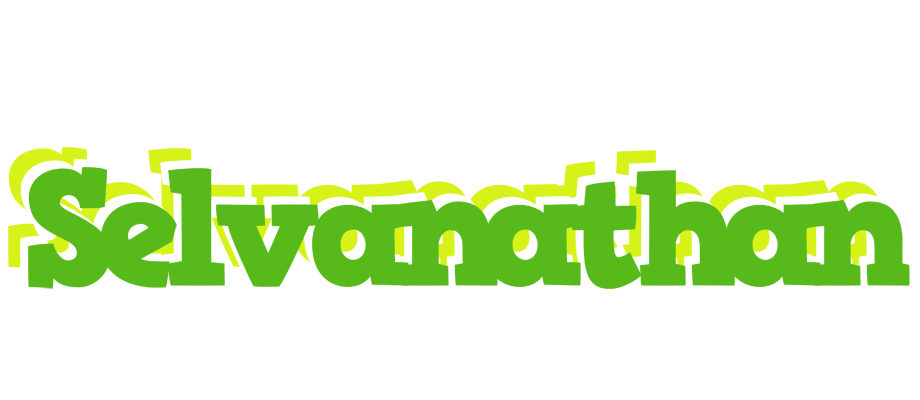 Selvanathan picnic logo