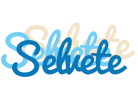 Selvete breeze logo