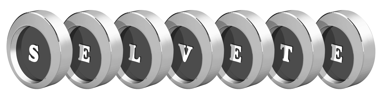Selvete coins logo