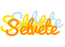 Selvete energy logo