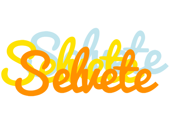 Selvete energy logo