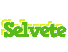 Selvete picnic logo