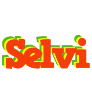 Selvi bbq logo