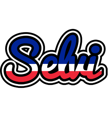 Selvi france logo