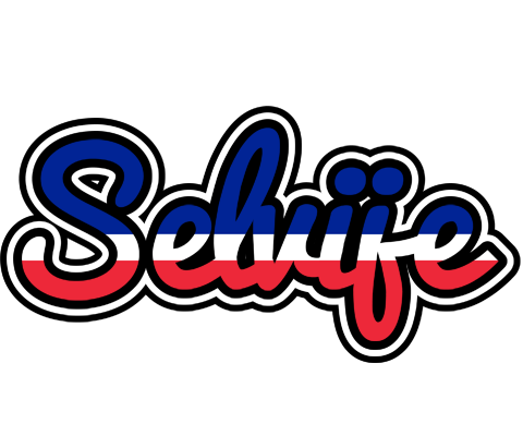 Selvije france logo