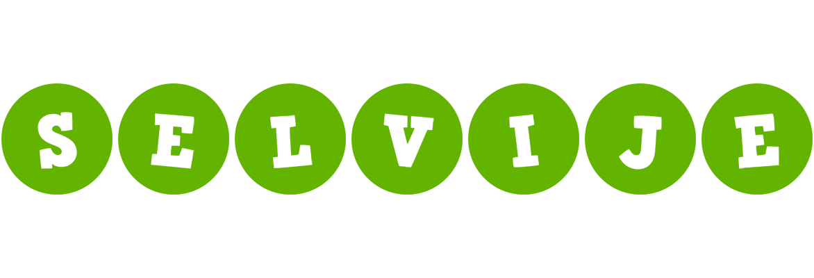 Selvije games logo