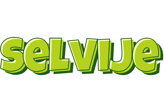 Selvije summer logo