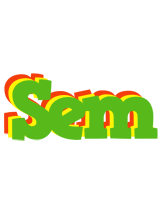 Sem crocodile logo