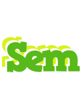 Sem picnic logo