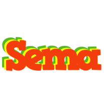 Sema bbq logo