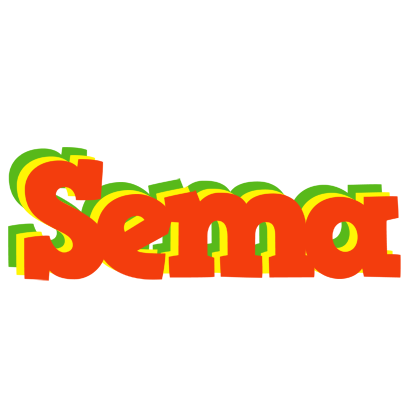 Sema bbq logo