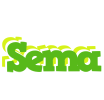 Sema picnic logo