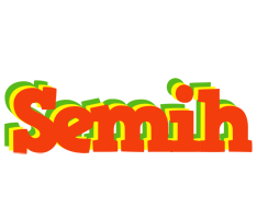 Semih bbq logo