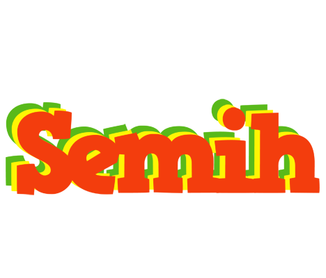 Semih bbq logo