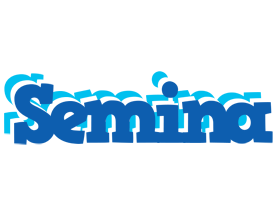 Semina business logo