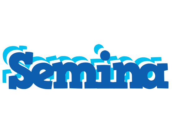 Semina business logo