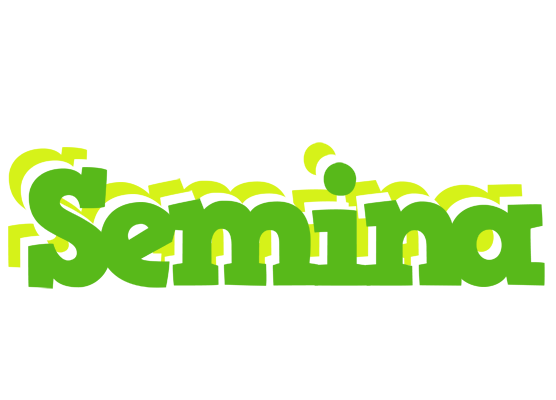 Semina picnic logo