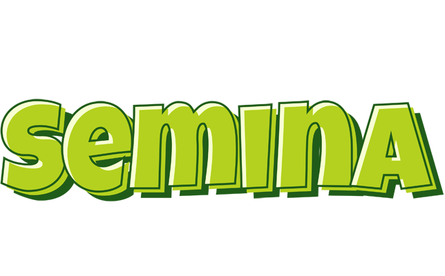 Semina summer logo