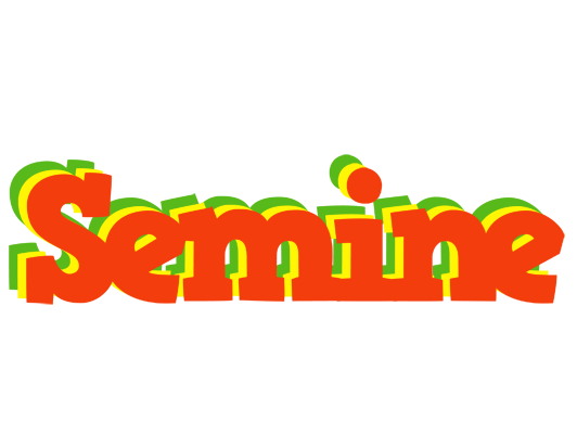 Semine bbq logo