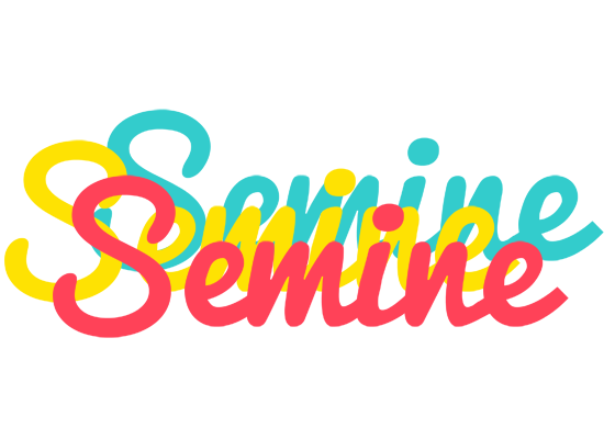 Semine disco logo