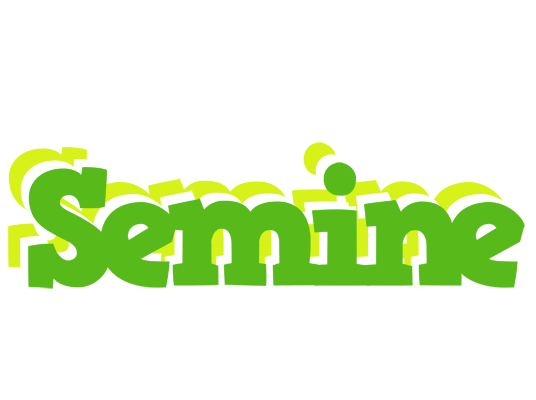 Semine picnic logo