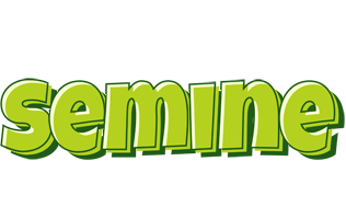 Semine summer logo