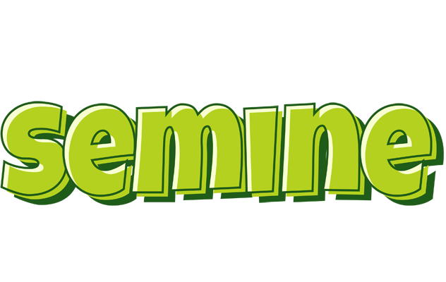 Semine summer logo
