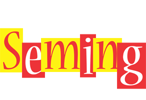 Seming errors logo