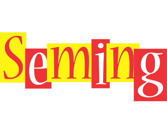 Seming errors logo