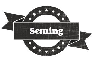 Seming grunge logo