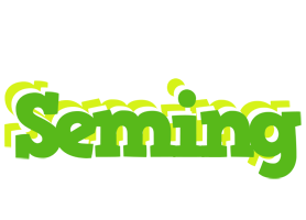 Seming picnic logo