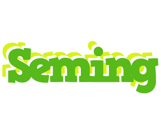 Seming picnic logo