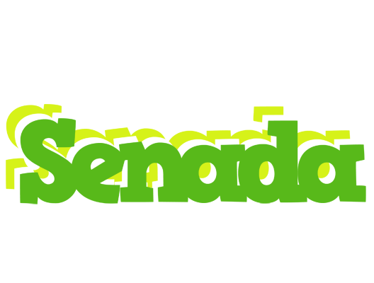 Senada picnic logo