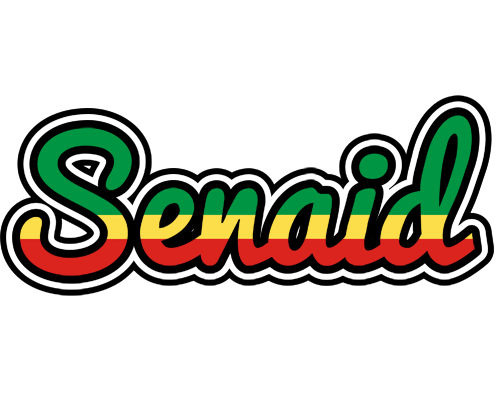 Senaid african logo
