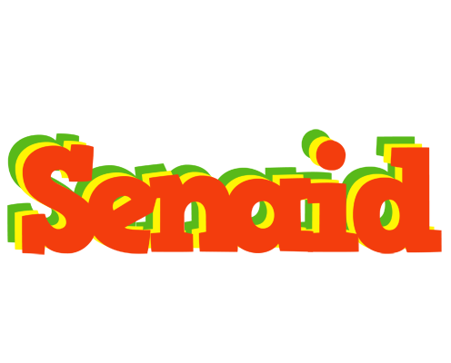 Senaid bbq logo