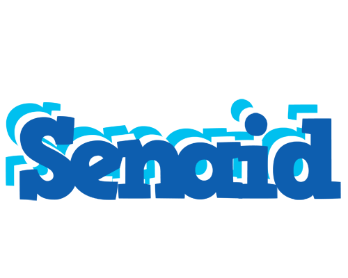 Senaid business logo