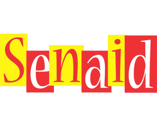 Senaid errors logo