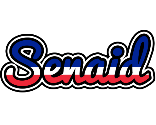 Senaid france logo