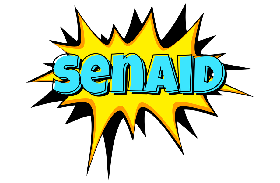 Senaid indycar logo