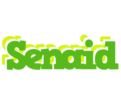Senaid picnic logo