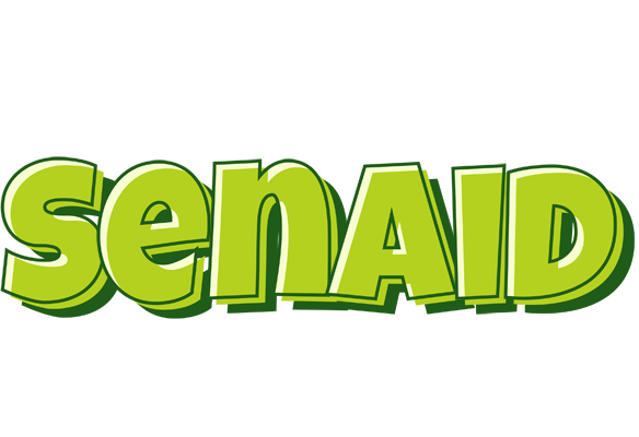 Senaid summer logo